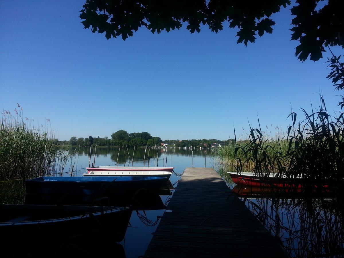 Holzhaus Waldwichtel Am Wald Und See นอยรุพพิน ภายนอก รูปภาพ