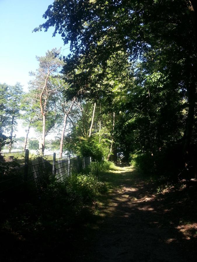 Holzhaus Waldwichtel Am Wald Und See นอยรุพพิน ภายนอก รูปภาพ